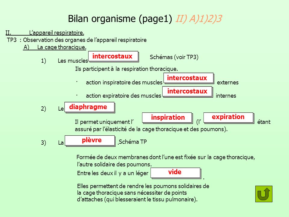 Bilan organisme (page1) II) A)1)2)3
