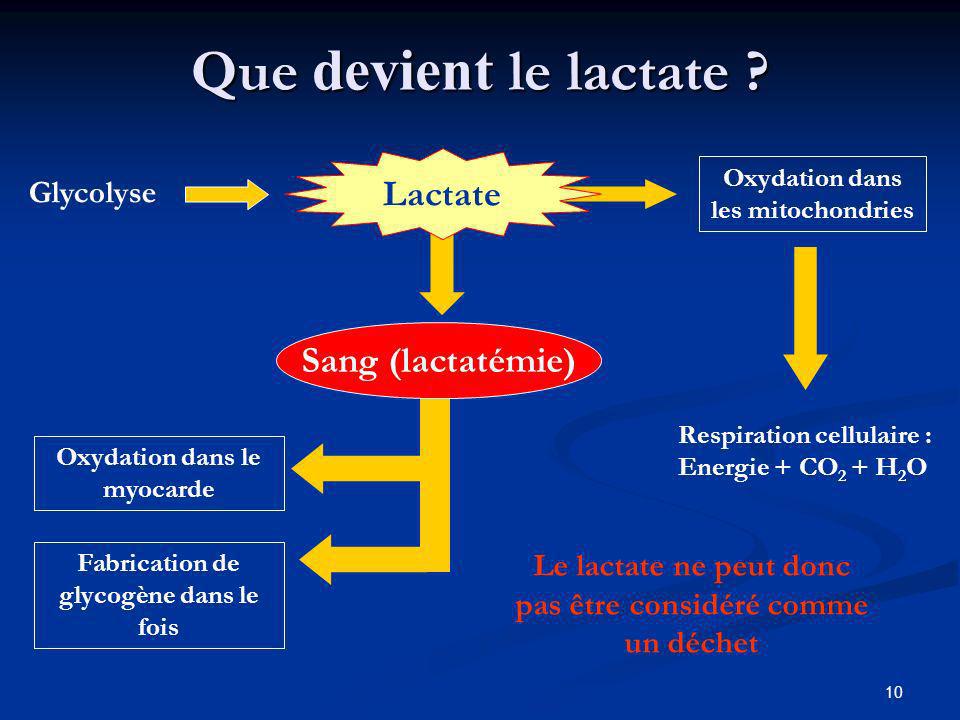 Que devient le lactate Lactate Sang (lactatémie) Glycolyse