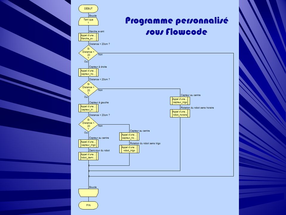 Programme personnalisé sous Flowcode
