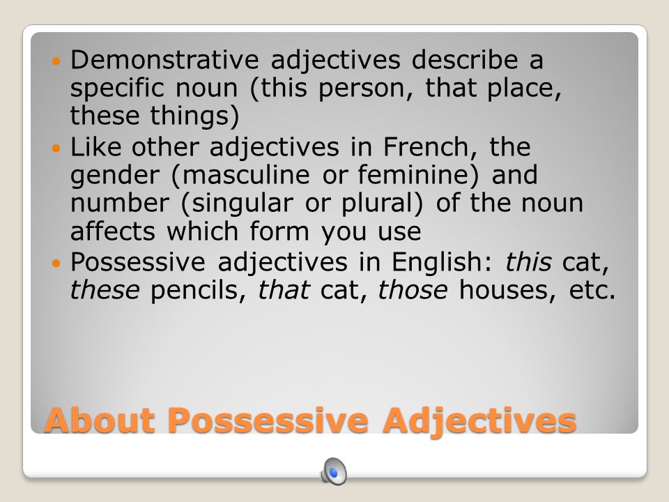About Possessive Adjectives