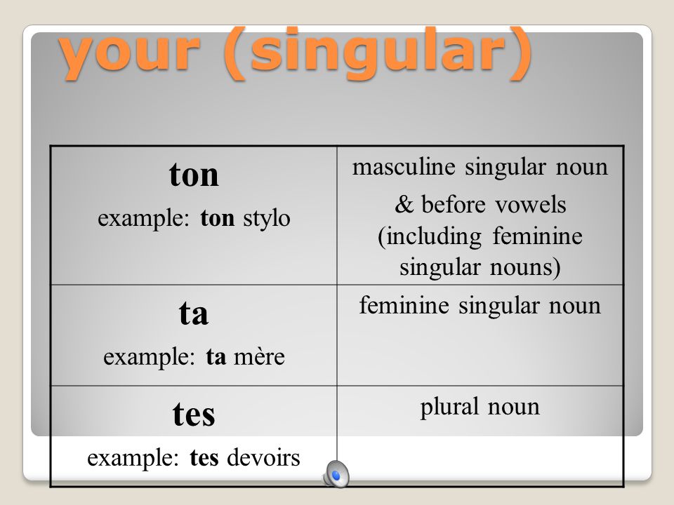 your (singular) ton ta tes masculine singular noun