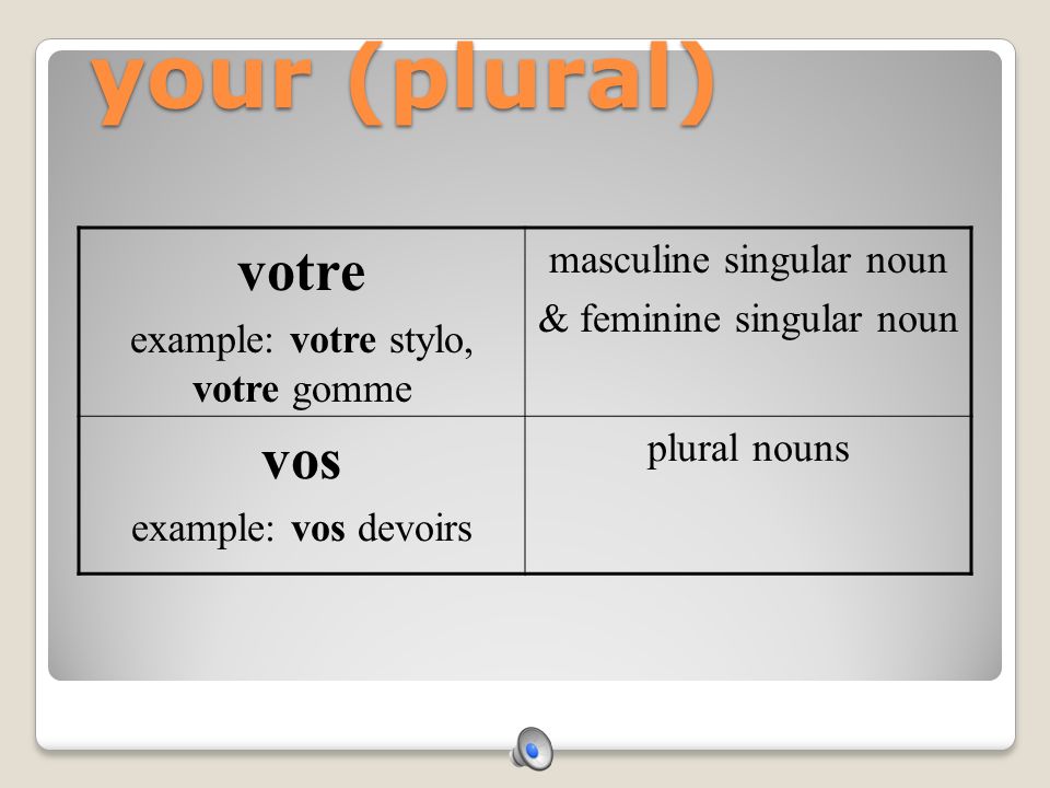 your (plural) votre vos masculine singular noun
