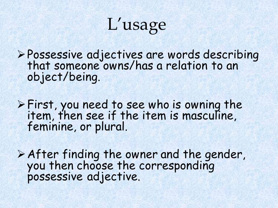 L’usage Possessive adjectives are words describing that someone owns/has a relation to an object/being.