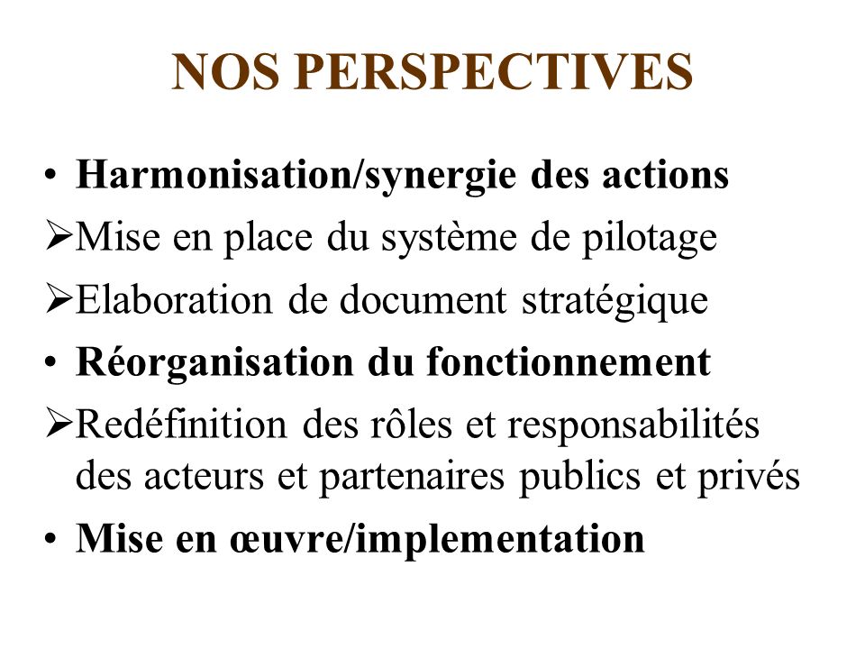 NOS PERSPECTIVES Harmonisation/synergie des actions