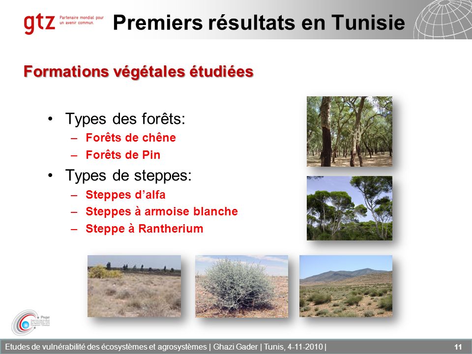 Premiers résultats en Tunisie