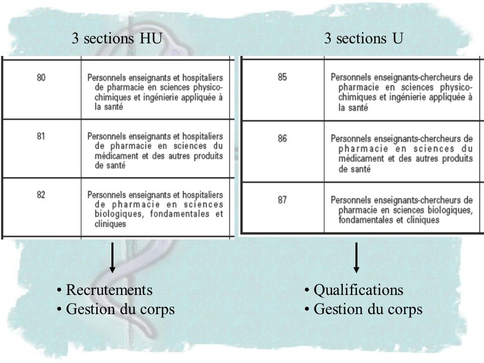 3 sections HU 3 sections U Recrutements. Gestion du corps. Qualifications.