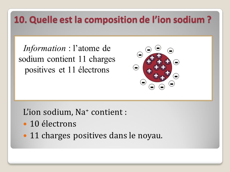 10. Quelle est la composition de l’ion sodium