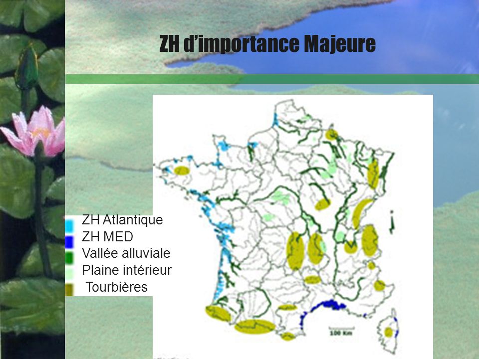 ZH d’importance Majeure