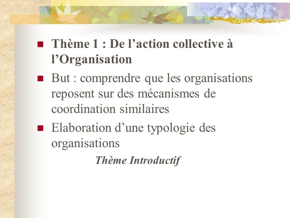 Thème 1 : De l’action collective à l’Organisation