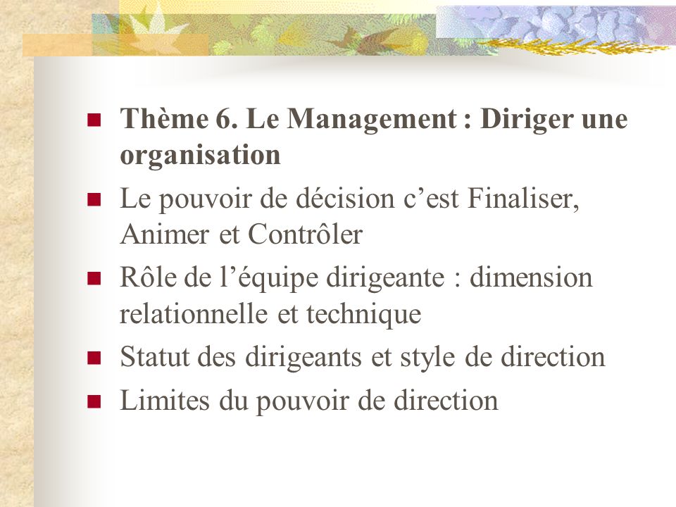 Thème 6. Le Management : Diriger une organisation