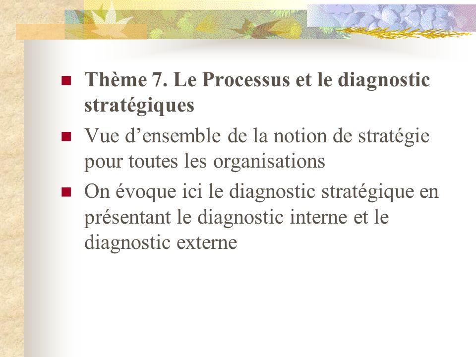 Thème 7. Le Processus et le diagnostic stratégiques