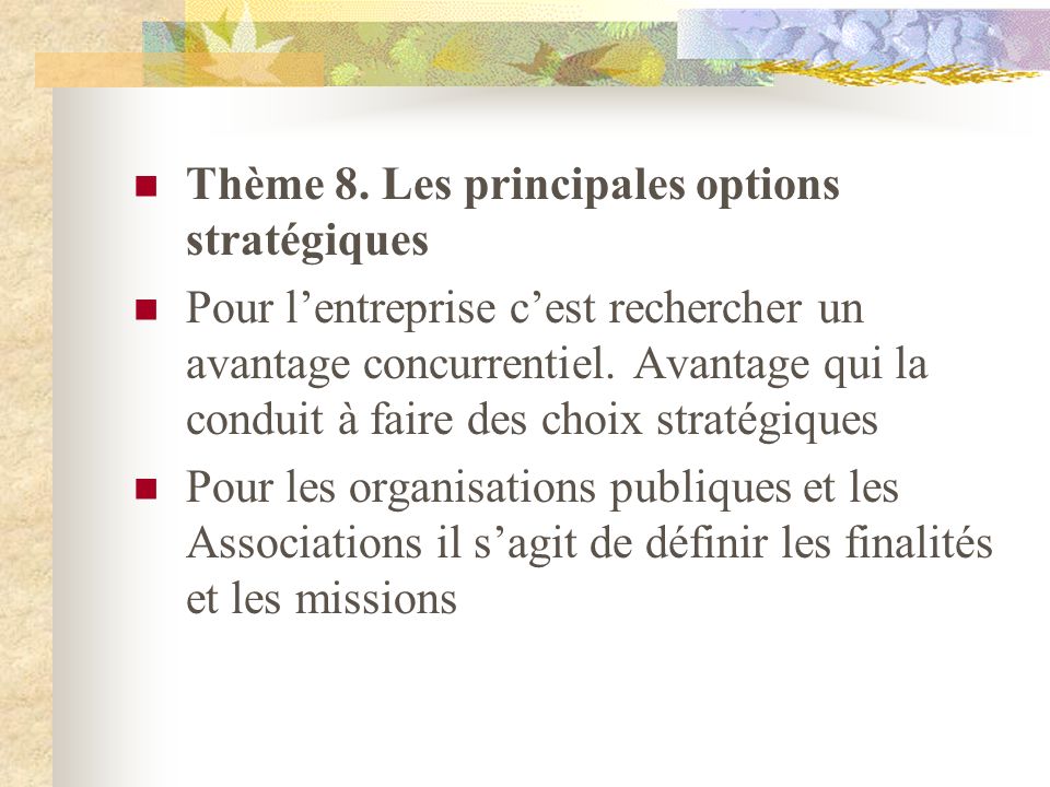 Thème 8. Les principales options stratégiques