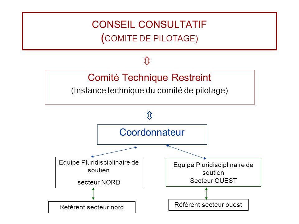 CONSEIL CONSULTATIF (COMITE DE PILOTAGE)
