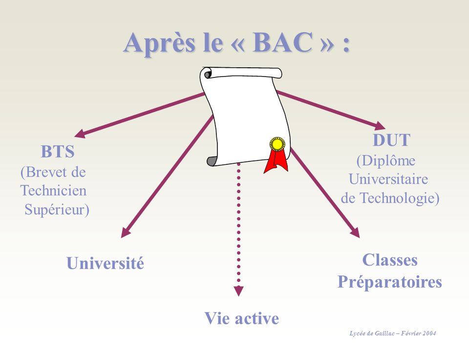 Après le « BAC » : Classes Préparatoires Vie active DUT BTS (Diplôme