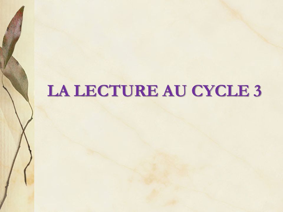 LA LECTURE AU CYCLE 3