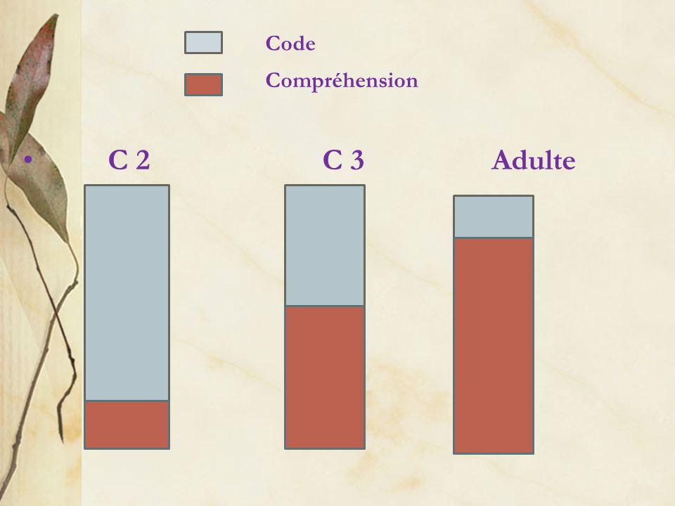 C 2 C 3 Adulte Code Compréhension