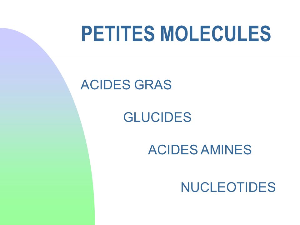PETITES MOLECULES ACIDES GRAS GLUCIDES ACIDES AMINES NUCLEOTIDES