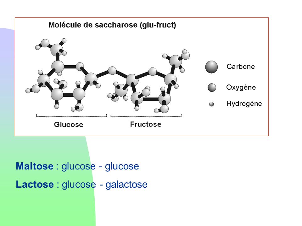 Maltose : glucose - glucose