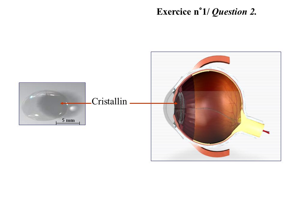 Exercice n°1/ Question 2. Cristallin