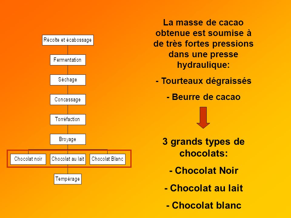 - Tourteaux dégraissés 3 grands types de chocolats: