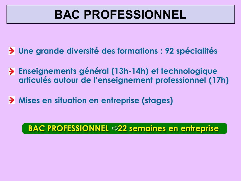 BAC PROFESSIONNEL Une grande diversité des formations : 92 spécialités