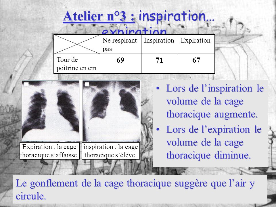 Atelier n°3 : inspiration… expiration…