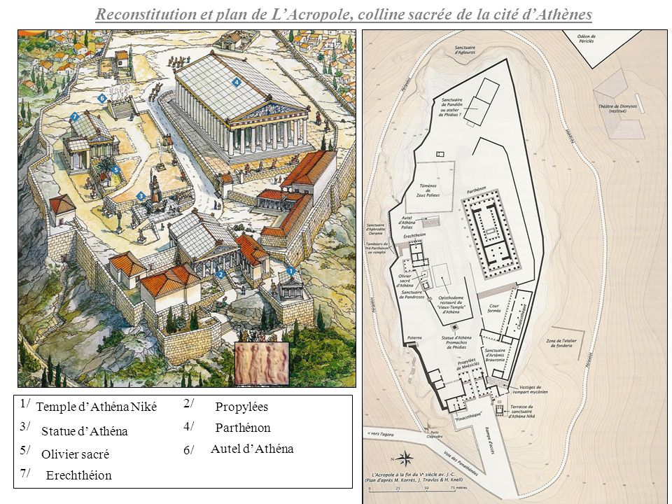 Reconstitution et plan de L’Acropole, colline sacrée de la cité d’Athènes