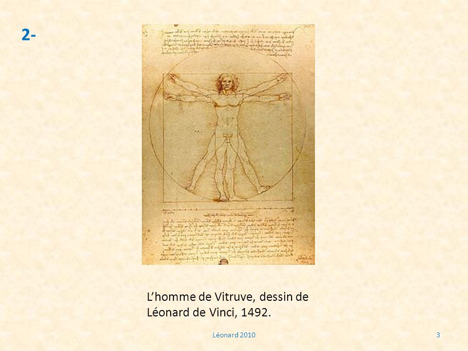 2- L’homme de Vitruve, dessin de Léonard de Vinci, Léonard 2010