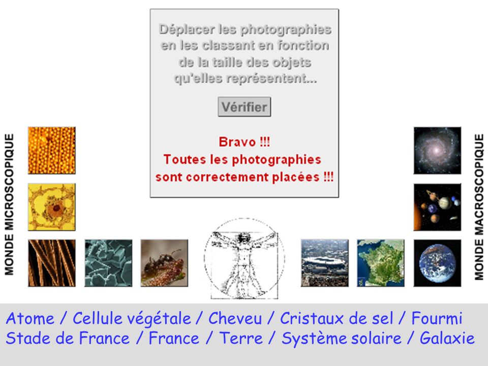 Atome / Cellule végétale / Cheveu / Cristaux de sel / Fourmi Stade de France / France / Terre / Système solaire / Galaxie