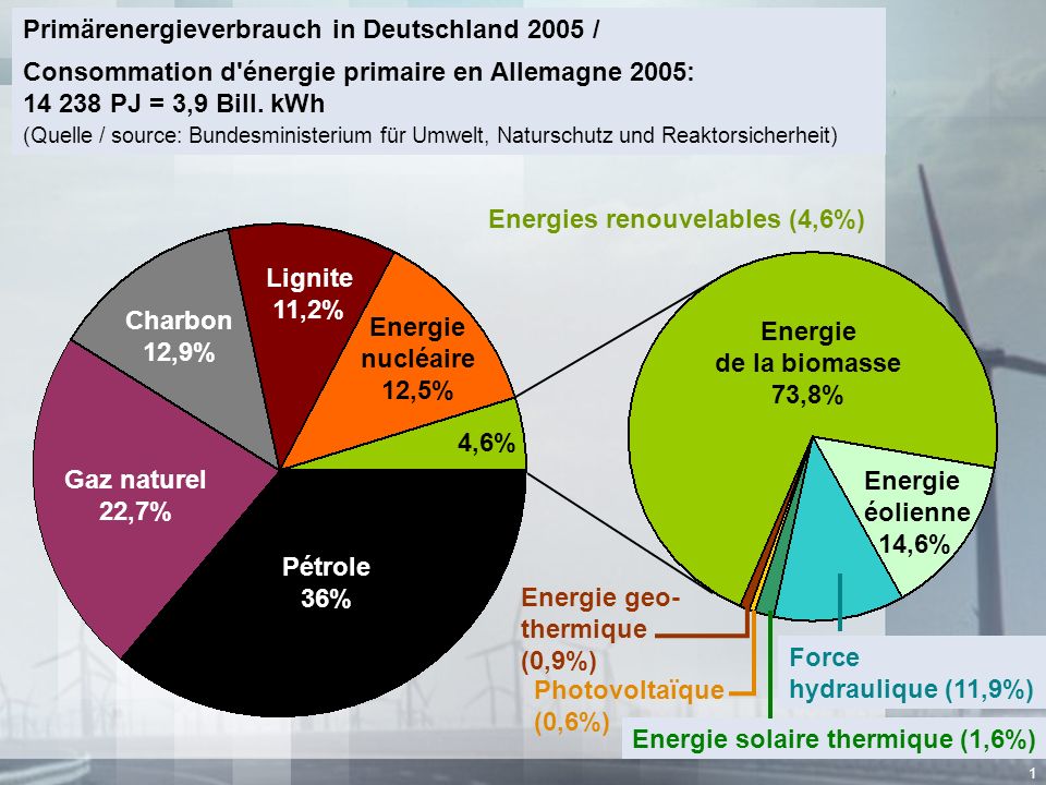Primärenergieverbrauch in Deutschland 2005 /