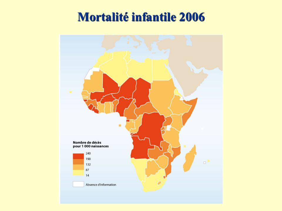 Mortalité infantile 2006