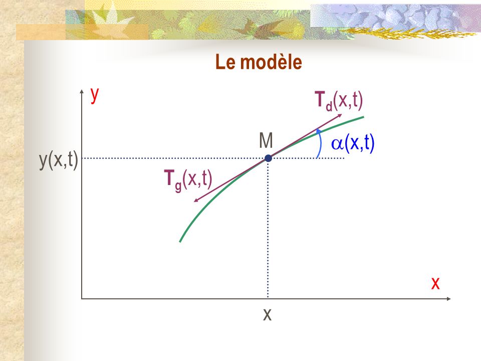 Le modèle y x Td(x,t) M x y(x,t) (x,t) Tg(x,t)