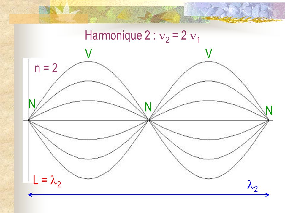 Harmonique 2 : 2 = 2 1 N V n = 2 L = 2 2