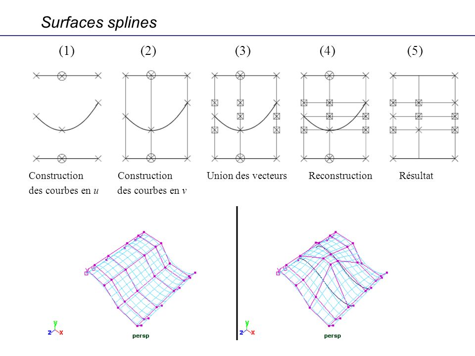 Surfaces splines (1) (2) (3) (4) (5)