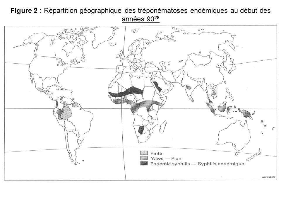 Figure 2 : Répartition géographique des tréponématoses endémiques au début des années 9028