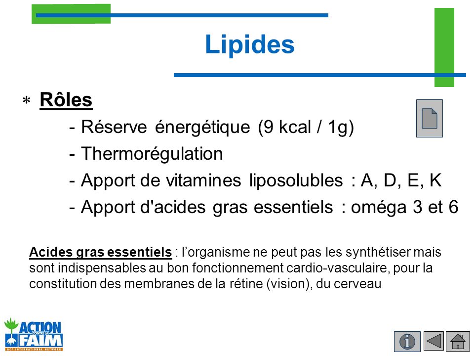 Lipides Rôles Réserve énergétique (9 kcal / 1g) Thermorégulation