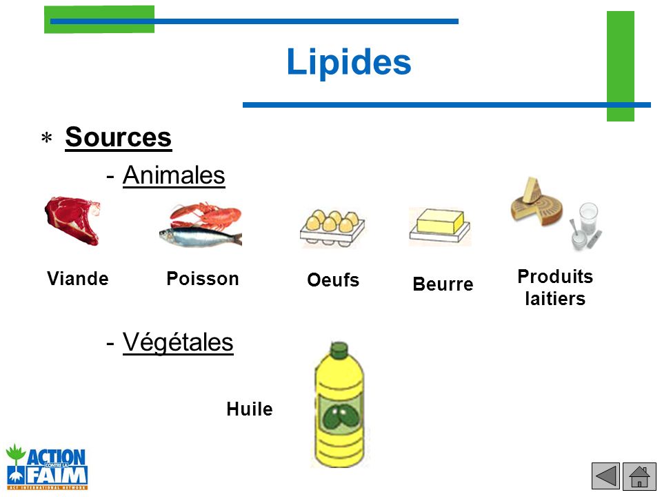 Lipides Sources Animales Végétales Viande Poisson Oeufs