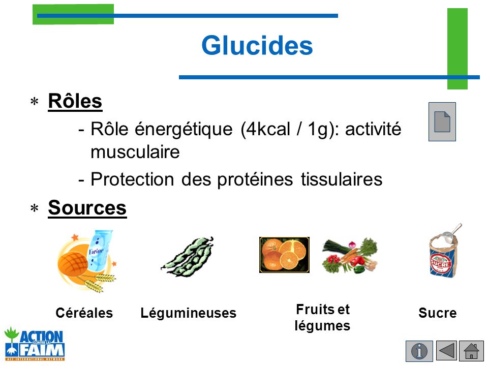 Glucides Rôles Sources