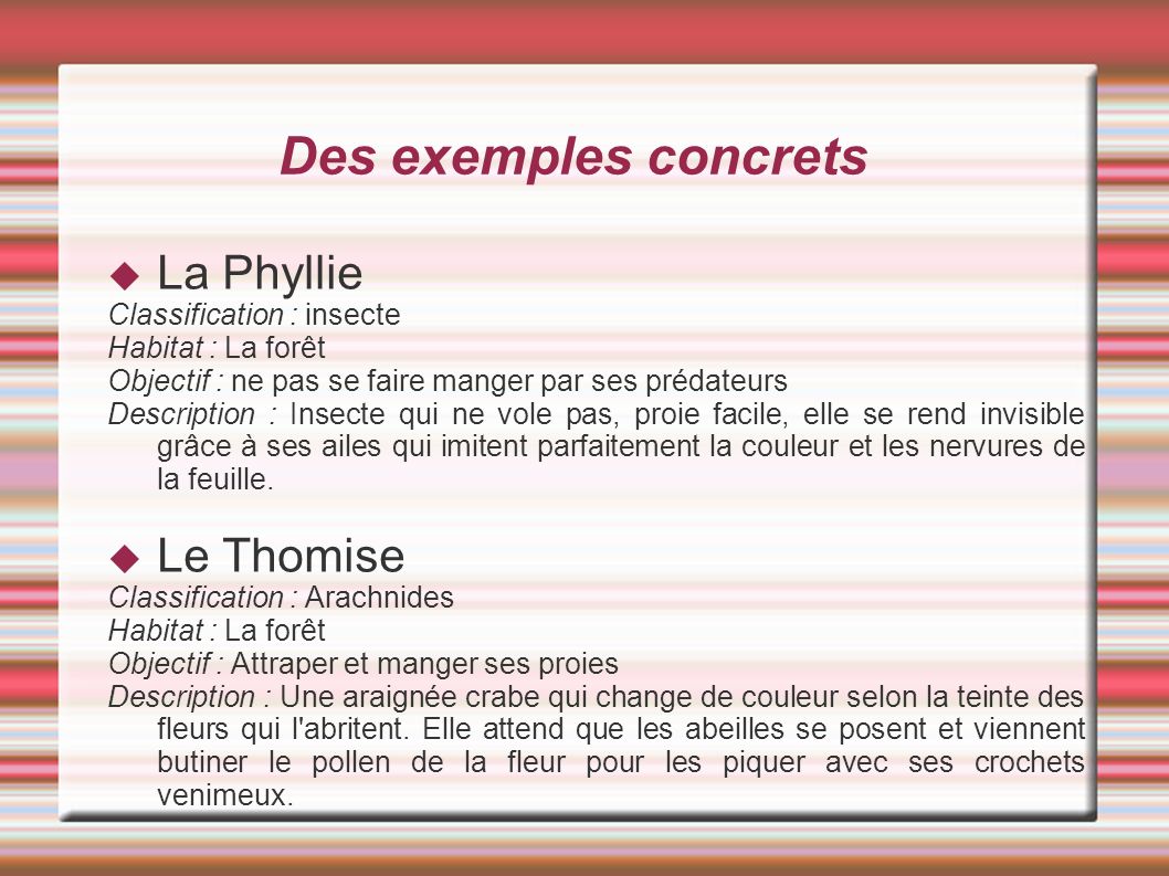 Des exemples concrets La Phyllie Le Thomise Classification : insecte