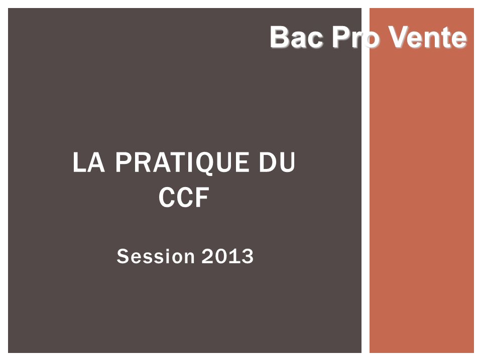 Bac Pro Vente LA PRATIQUE DU CCF Session 2013