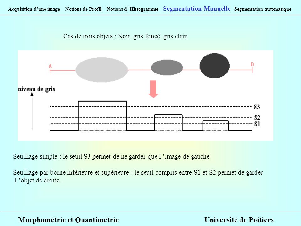 Morphométrie et Quantimétrie Université de Poitiers