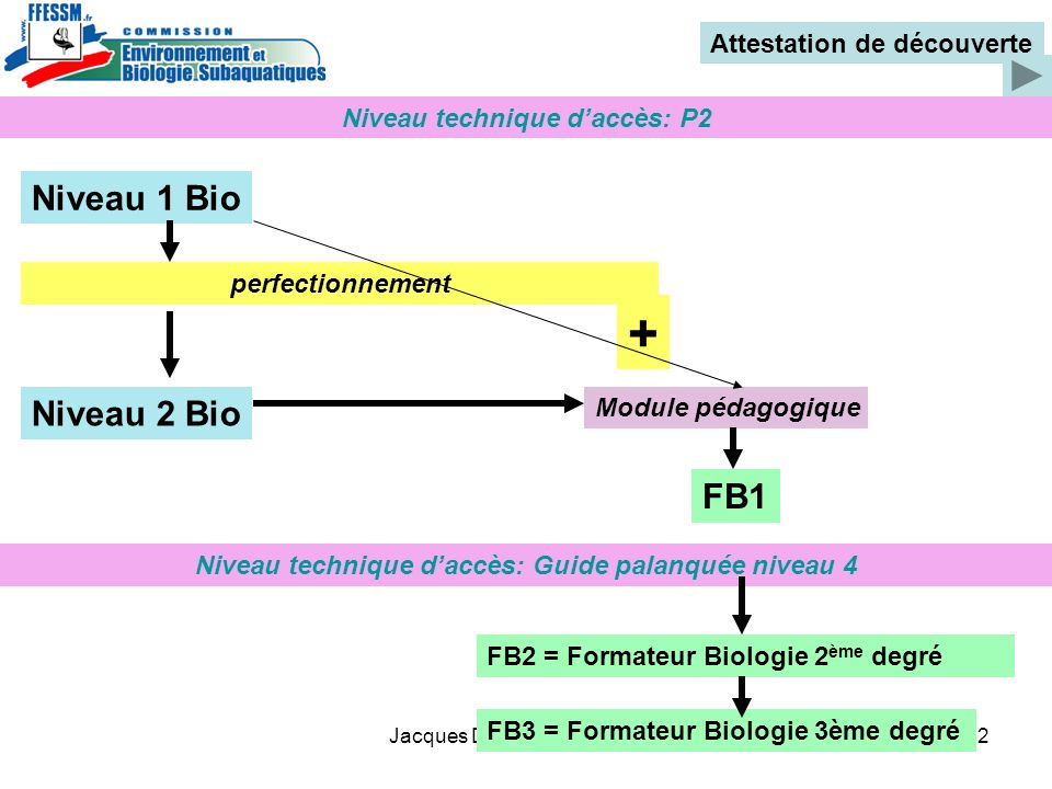 + Niveau 1 Bio Niveau 2 Bio FB1 Attestation de découverte
