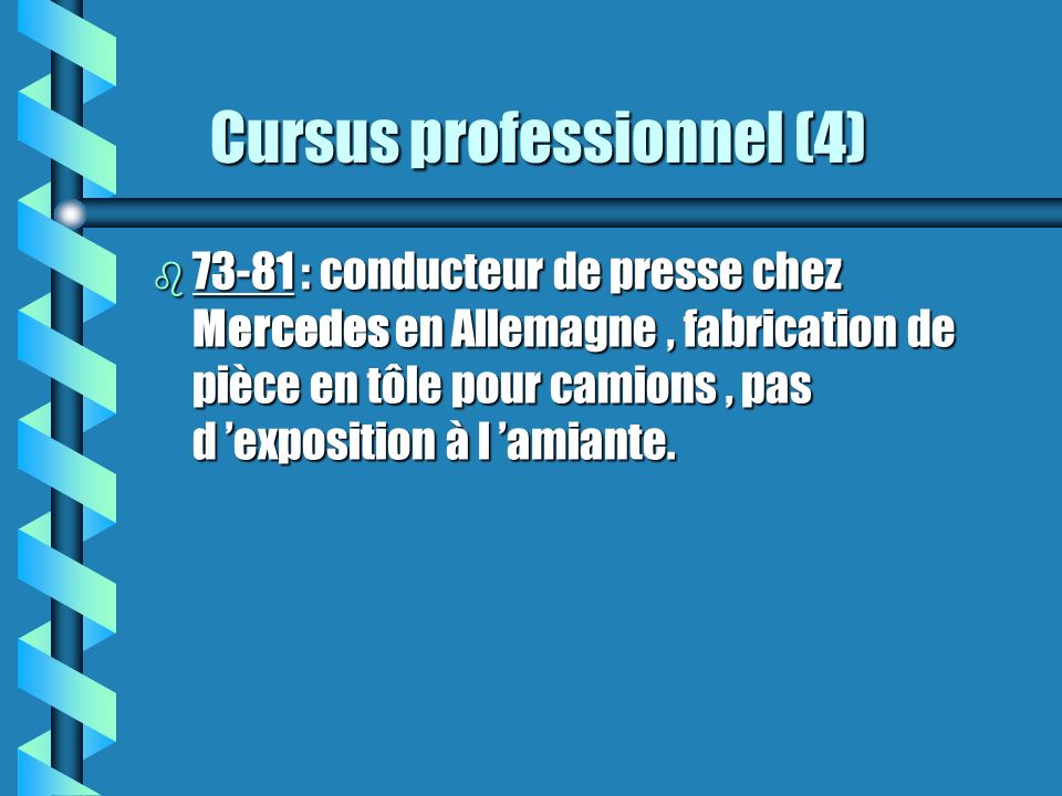 Cursus professionnel (4)