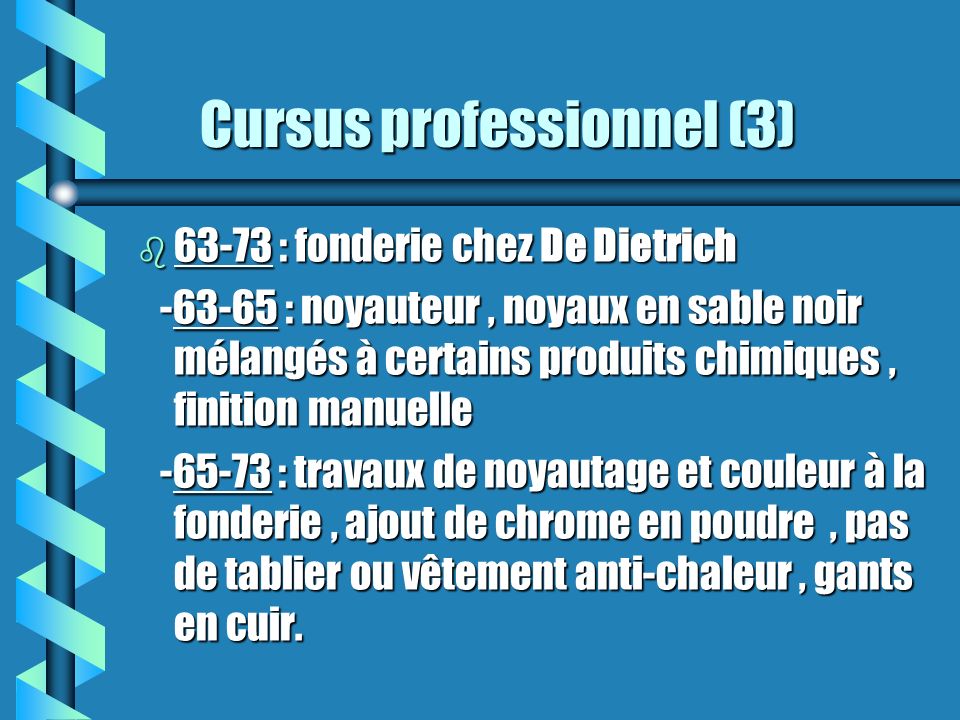 Cursus professionnel (3)