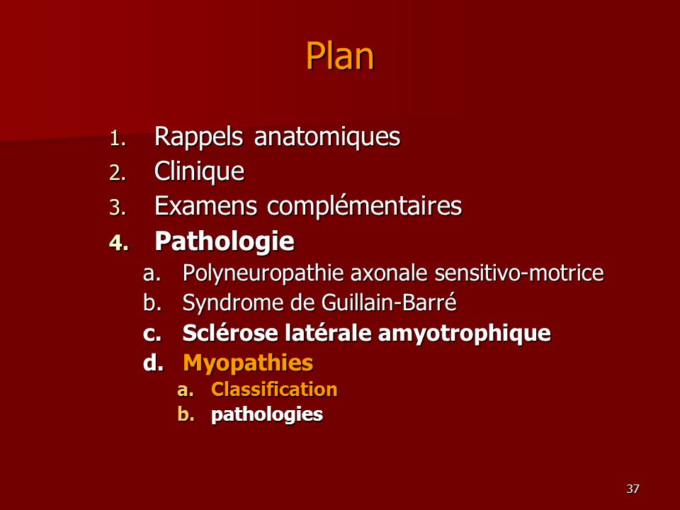 Plan Rappels anatomiques Clinique Examens complémentaires Pathologie