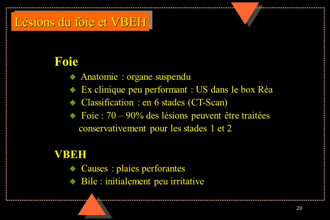 Lésions du foie et VBEH Foie VBEH Anatomie : organe suspendu