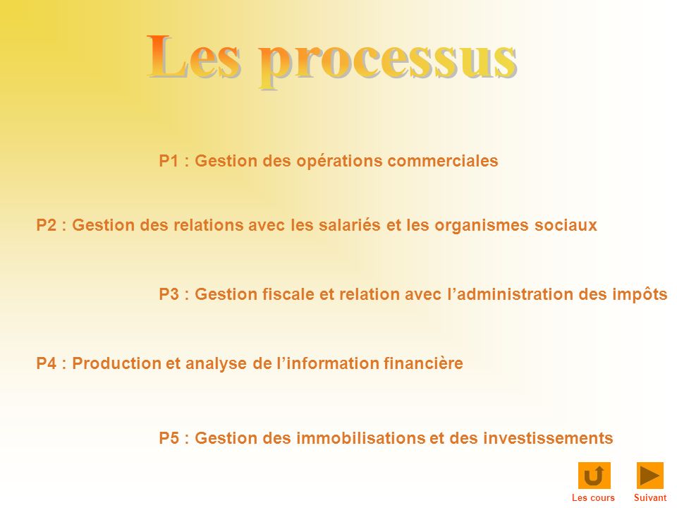 Les processus P1 : Gestion des opérations commerciales