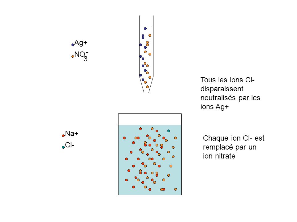 Ag+ - NO. 3. Tous les ions Cl-disparaissent neutralisés par les ions Ag+ Na+ Chaque ion Cl- est remplacé par un ion nitrate.