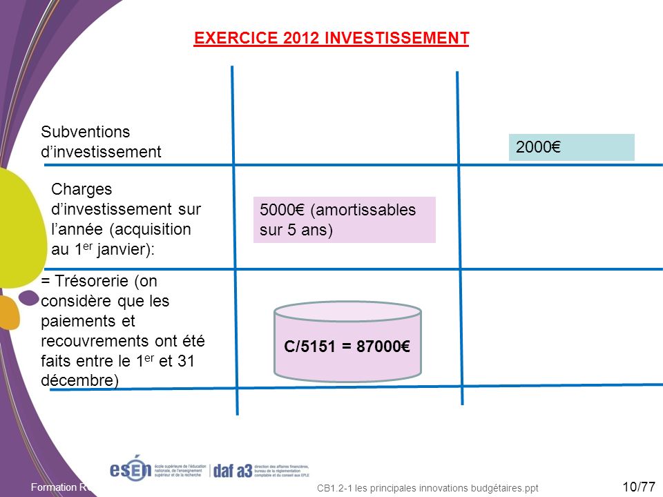 EXERCICE 2012 INVESTISSEMENT
