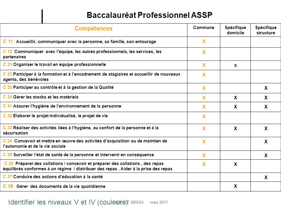 Baccalauréat Professionnel ASSP